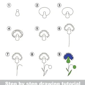 Draw a Flower Tutorial