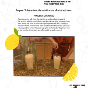 Fizzy Lemonade STEM Chapter Sample
