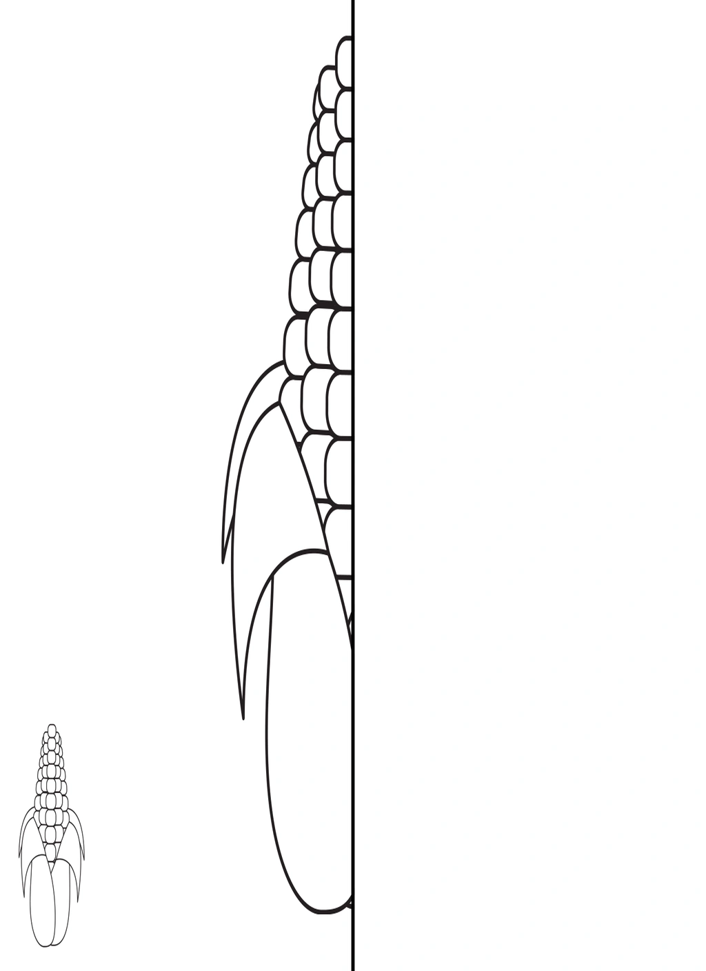 Harvest Symmetry Pages (Math) 2 Harvest Symmetry Pages (Math) - Image 2