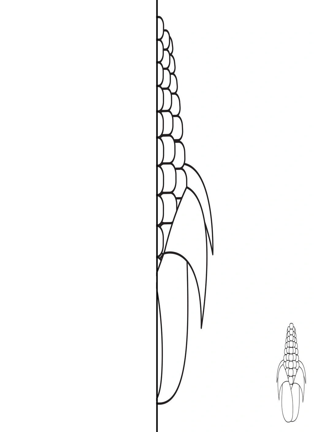 Harvest Symmetry Pages (Math) 3 Harvest Symmetry Pages (Math) - Image 3