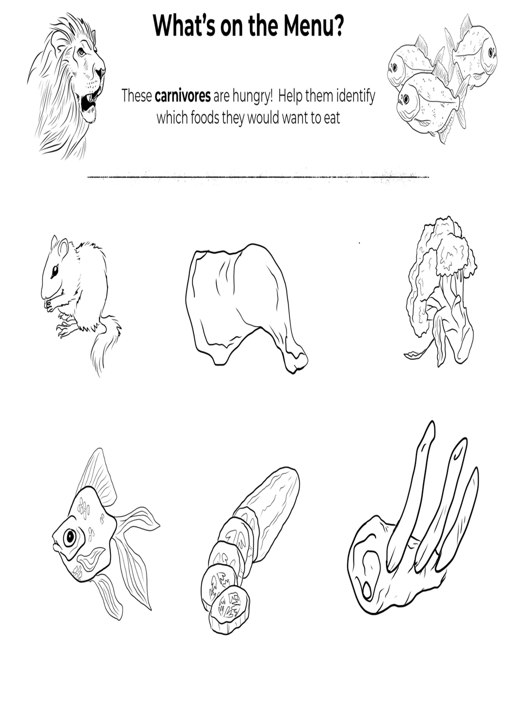 Herbivores, Omnivores, and Carnivores Unit Study 4 Herbivores, Omnivores, and Carnivores Unit Study - Image 4