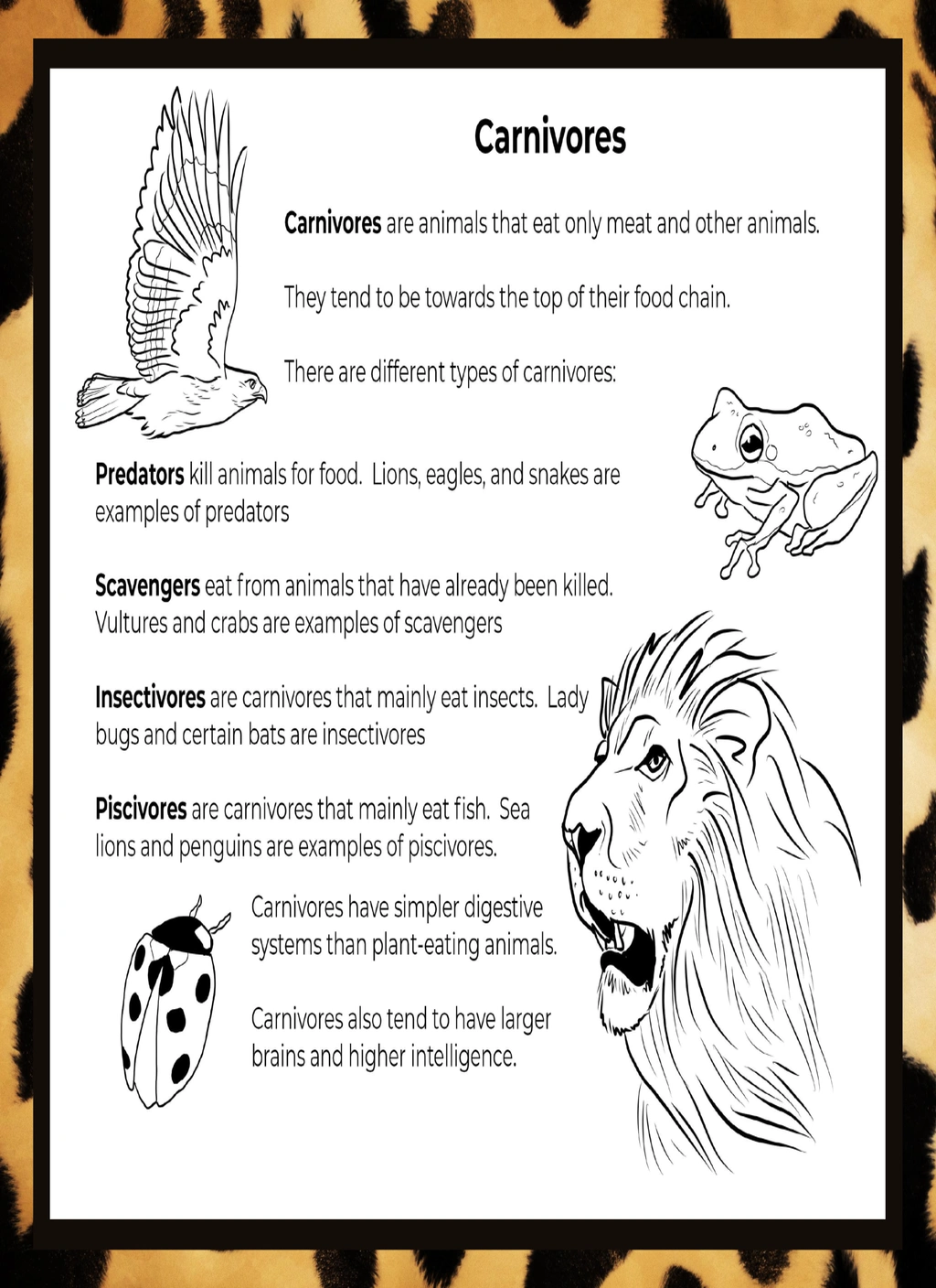 Herbivores, Omnivores, and Carnivores Unit Study 3 Herbivores, Omnivores, and Carnivores Unit Study - Image 3