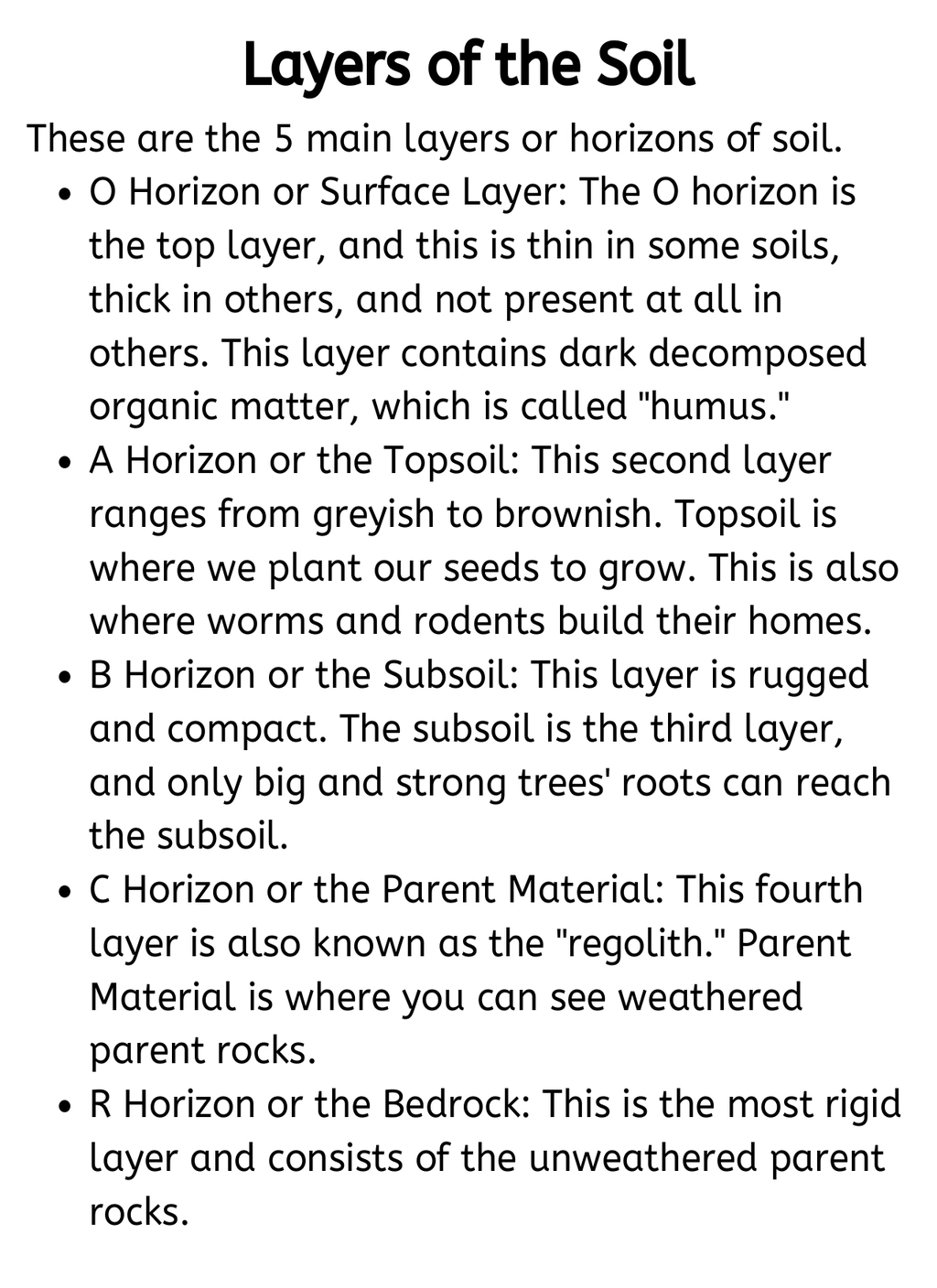Layers of the Soil Mini Study 4 Layers of the Soil Mini Study - Image 4
