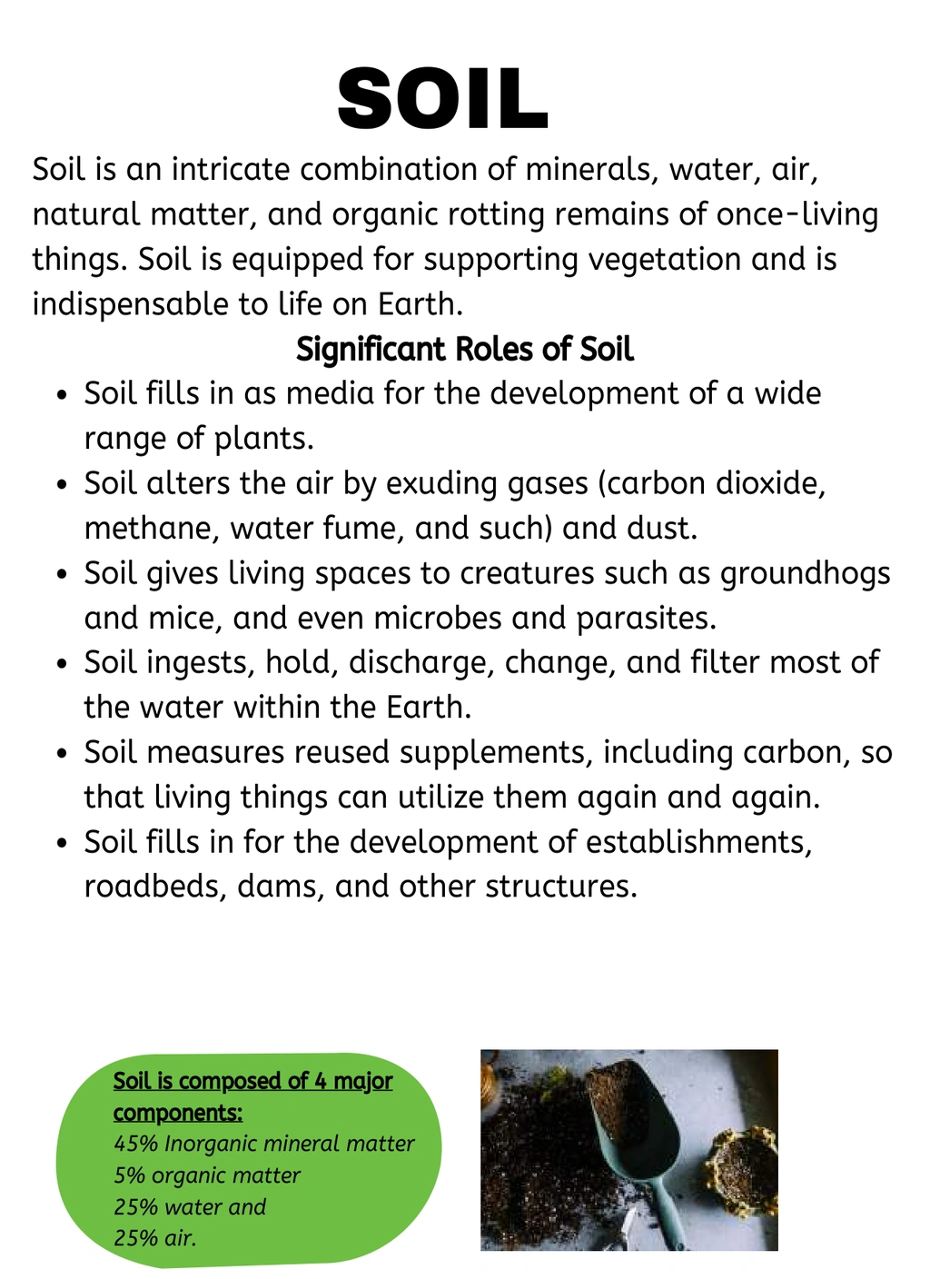 Layers of the Soil Mini Study 2 Layers of the Soil Mini Study - Image 2