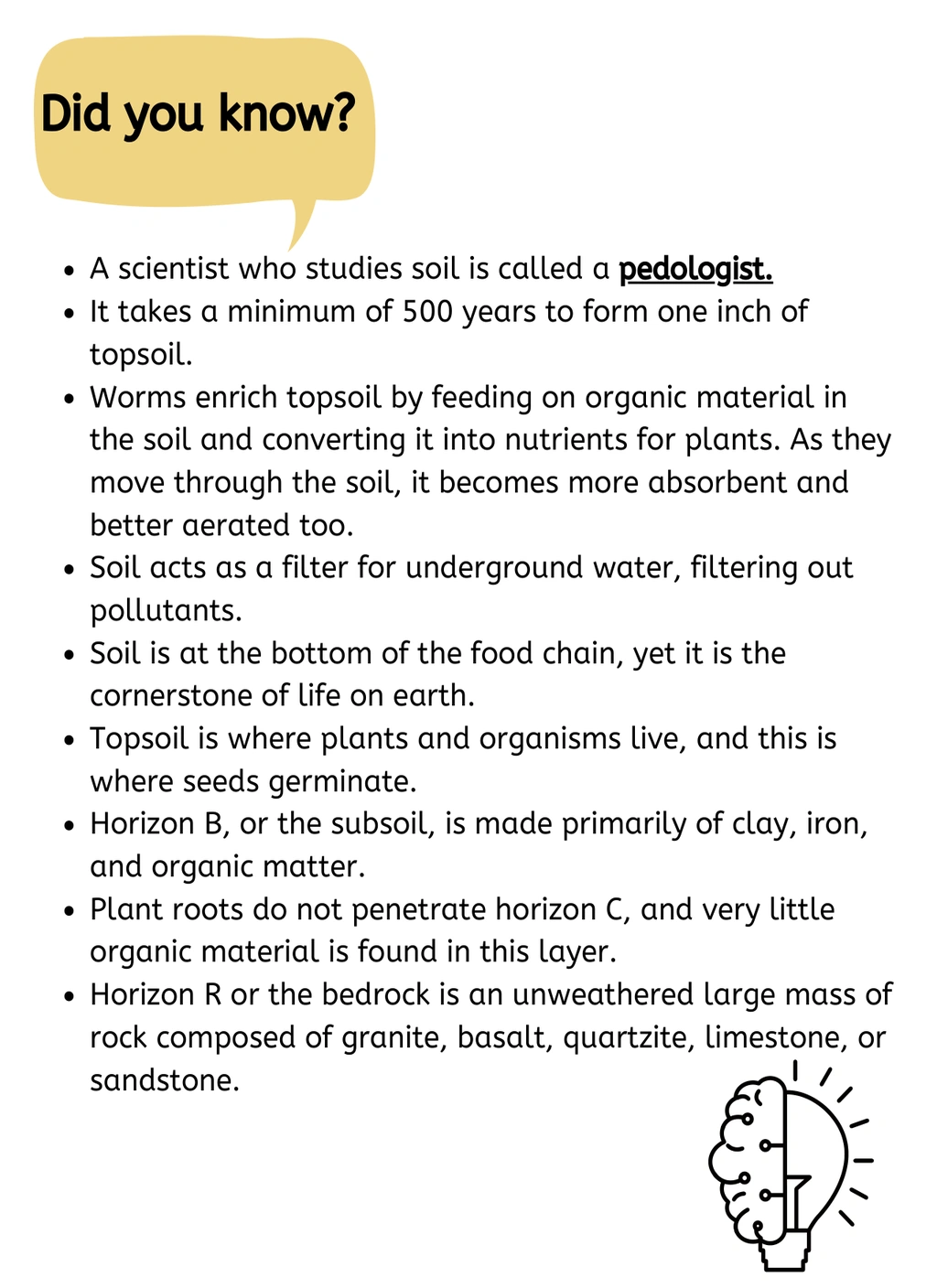 Layers of the Soil Mini Study 3 Layers of the Soil Mini Study - Image 3