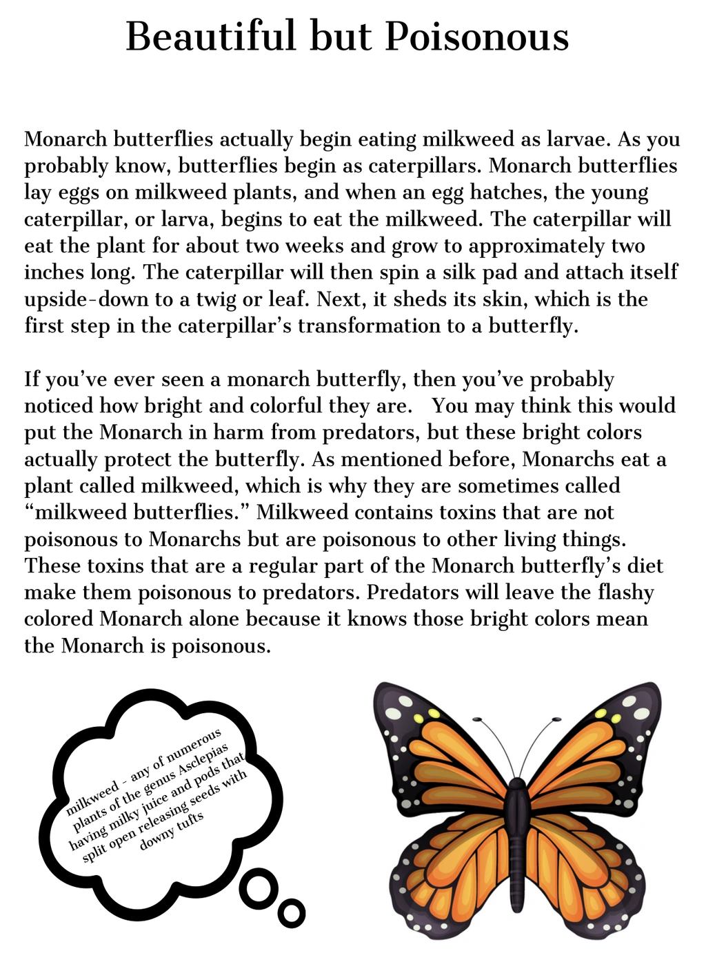 Butterfly Life Cycle 3 Butterfly Life Cycle - Image 3