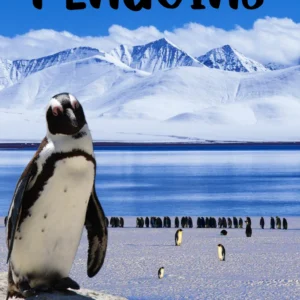 Penguins Mini Unit Study (Unit Studies)