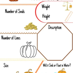 Pumpkin Investigation Activity (Halloween)