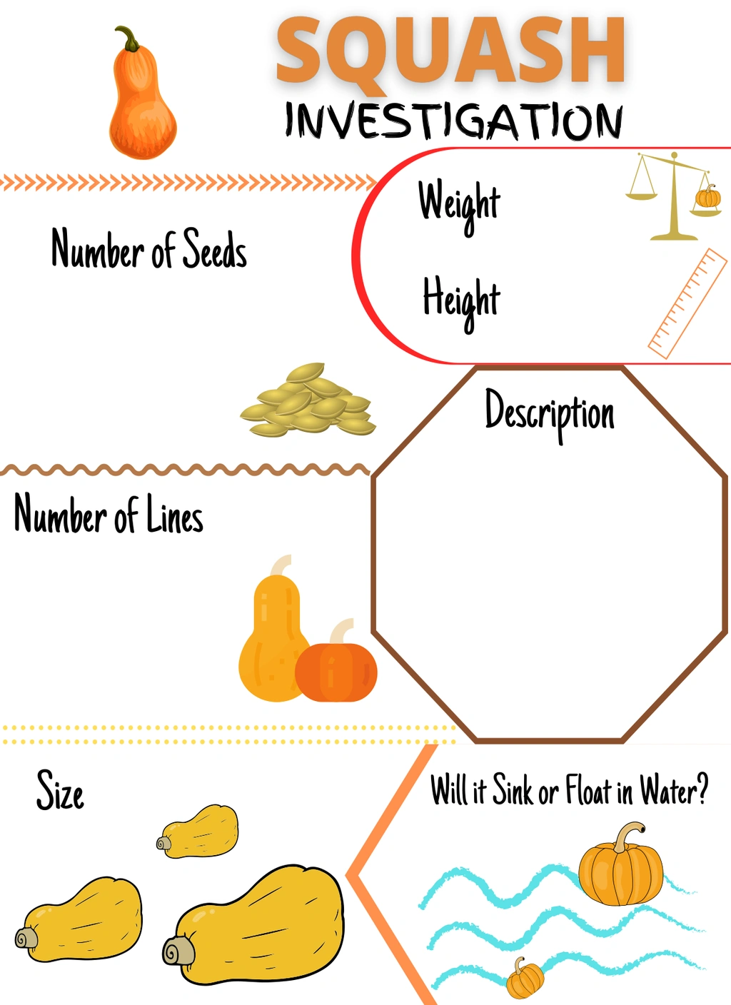 Pumpkin Investigation Activity (Halloween) 3 Pumpkin Investigation Activity (Halloween) - Image 3