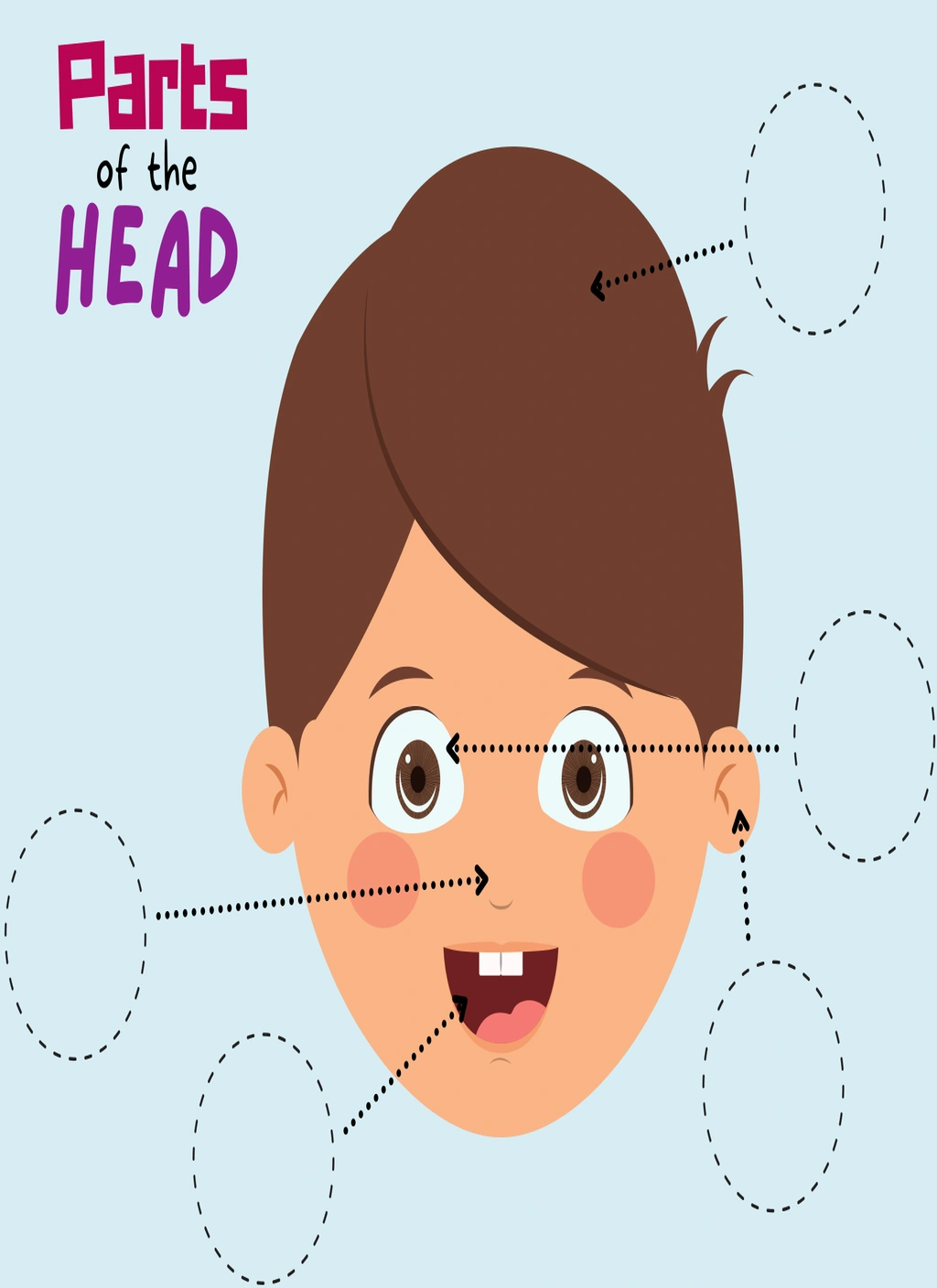 Parts of the Head Activity Bundle 2 Parts of the Head Activity Bundle - Image 2