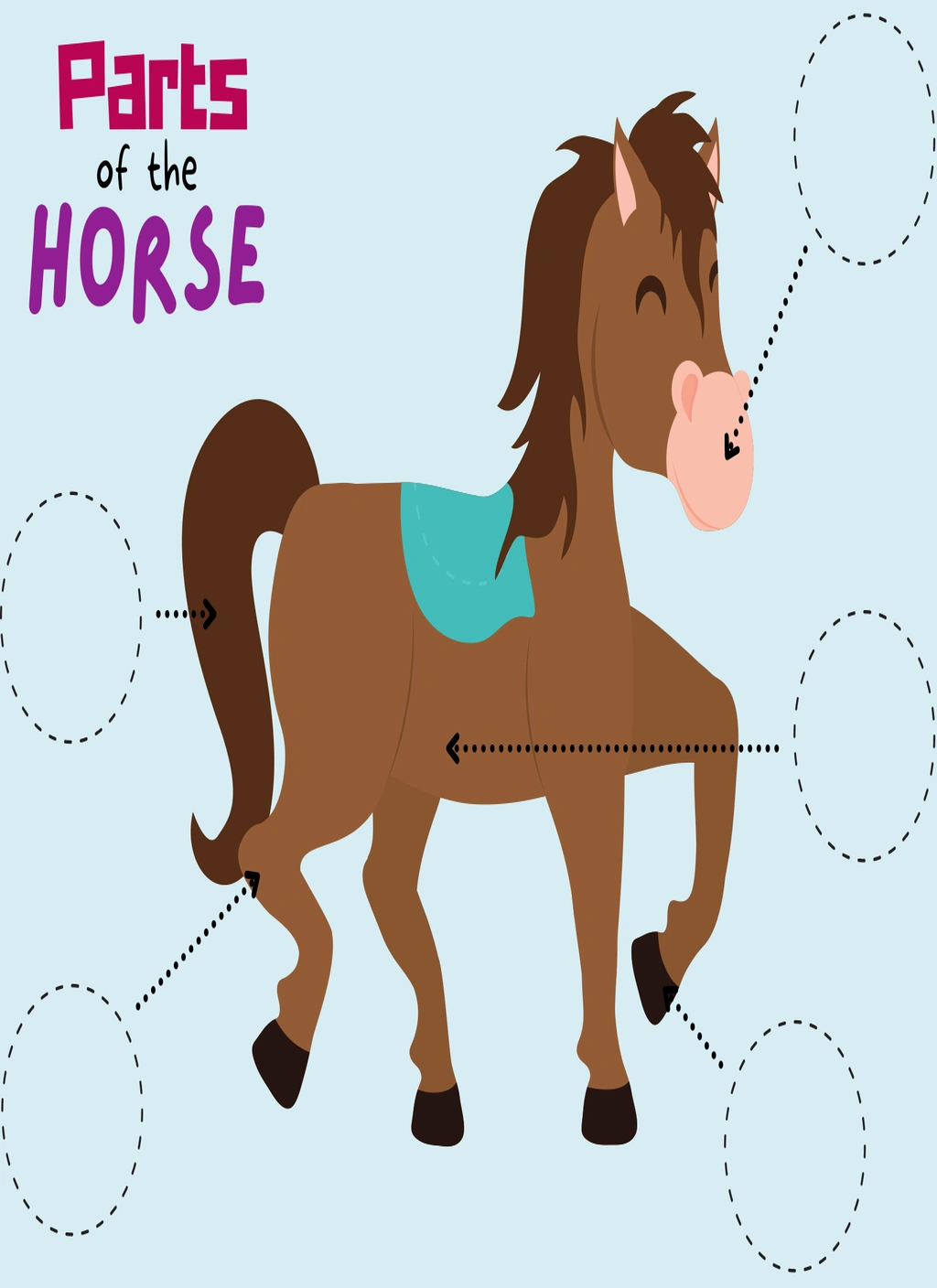 Parts of a Horse Activity Bundle 2 Parts of a Horse Activity Bundle - Image 2
