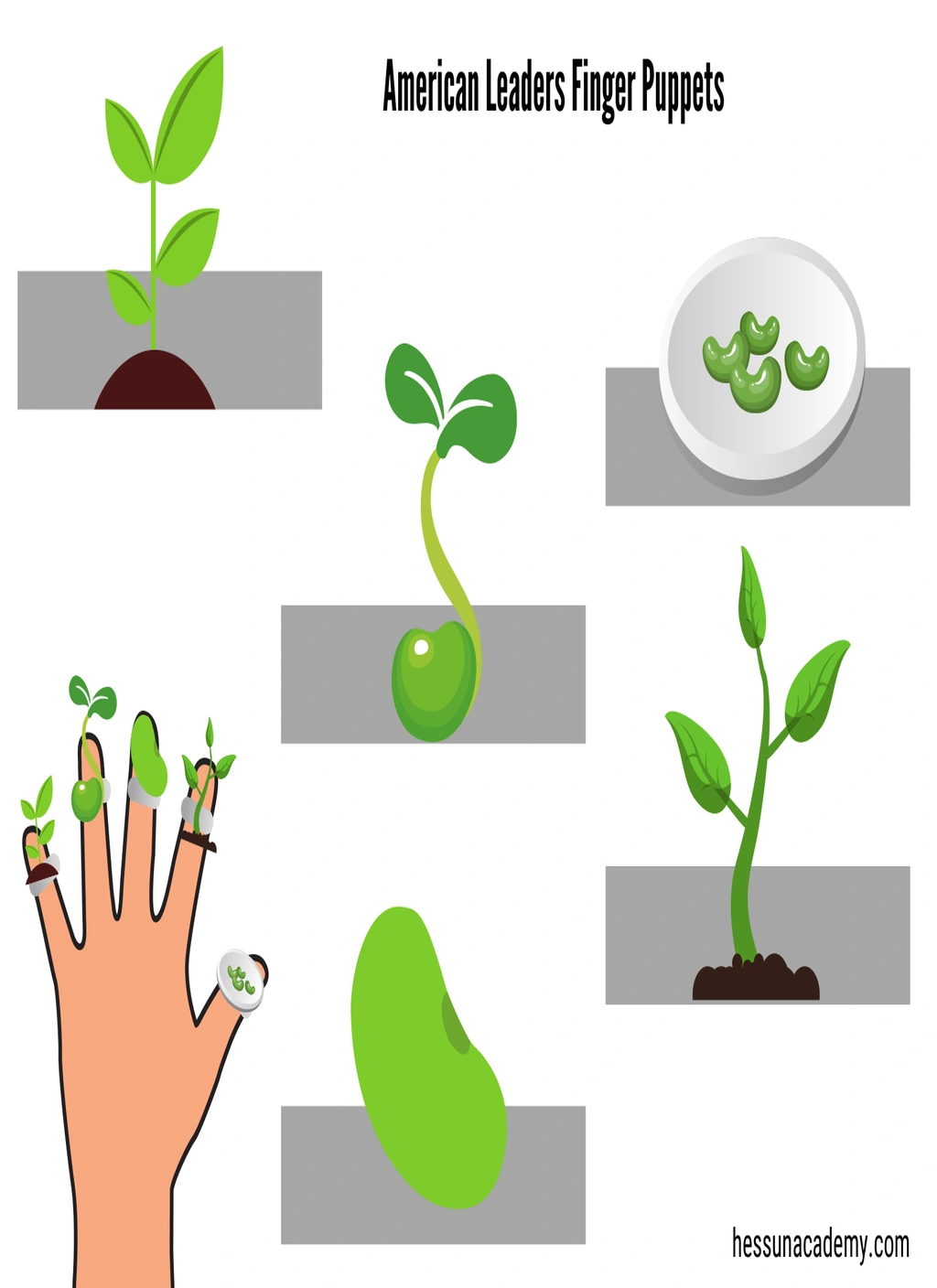 Plant Life Cycle Finger Puppets