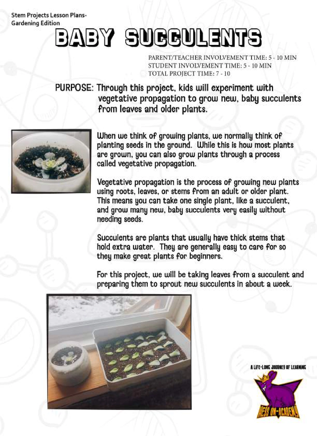 STEM Made Easy Book Gardening Edition - Image 4