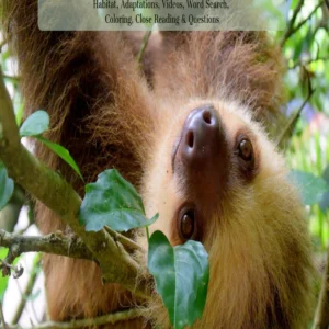Sloth Unit Study