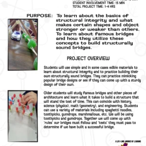 Toothpick Bridges STEM Chapter Sample