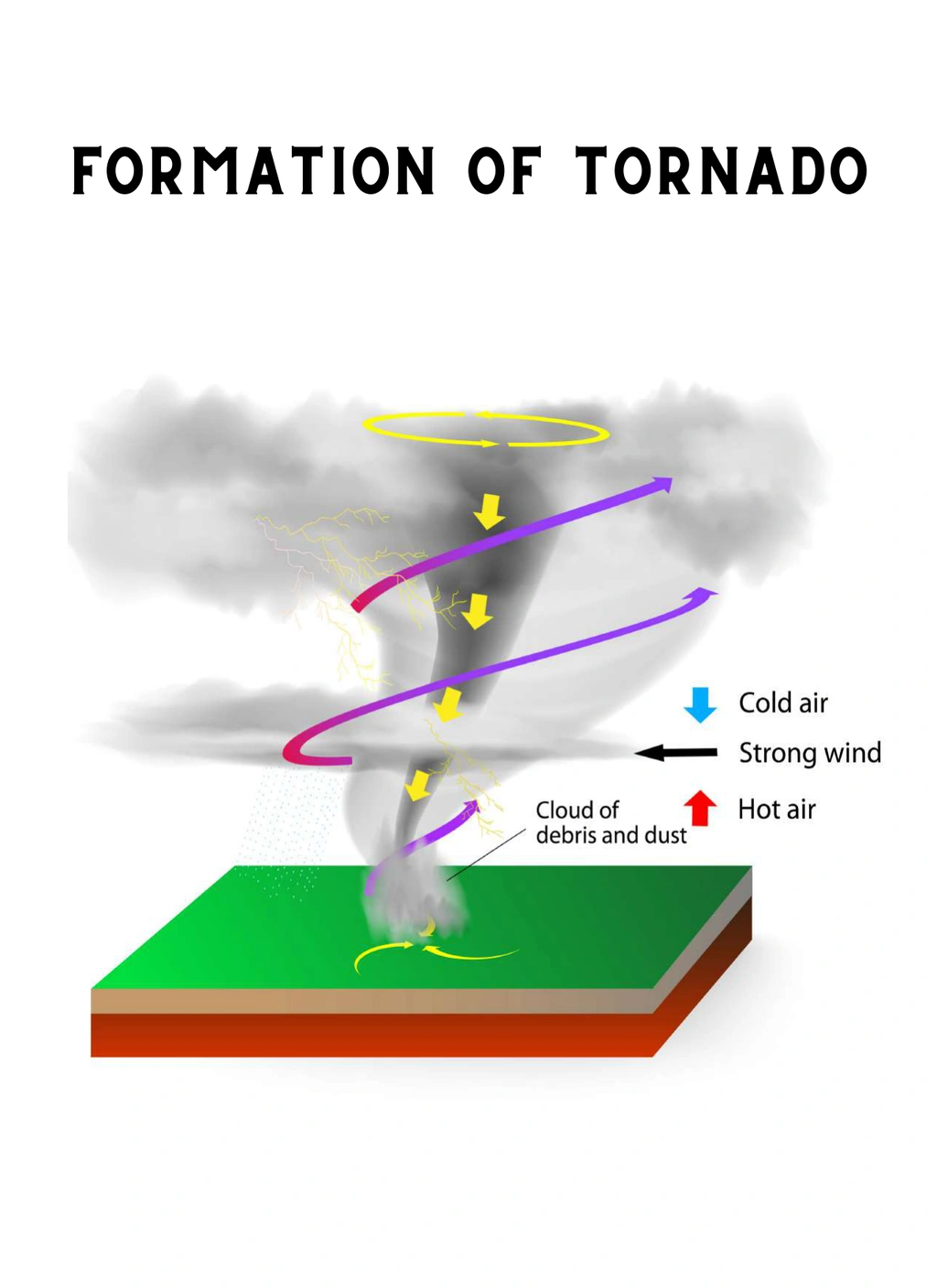 Tornado Mini Unit Study 4 Tornado Mini Unit Study - Image 4