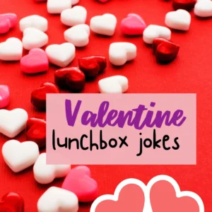 Valentine's Day Lunchbox Jokes