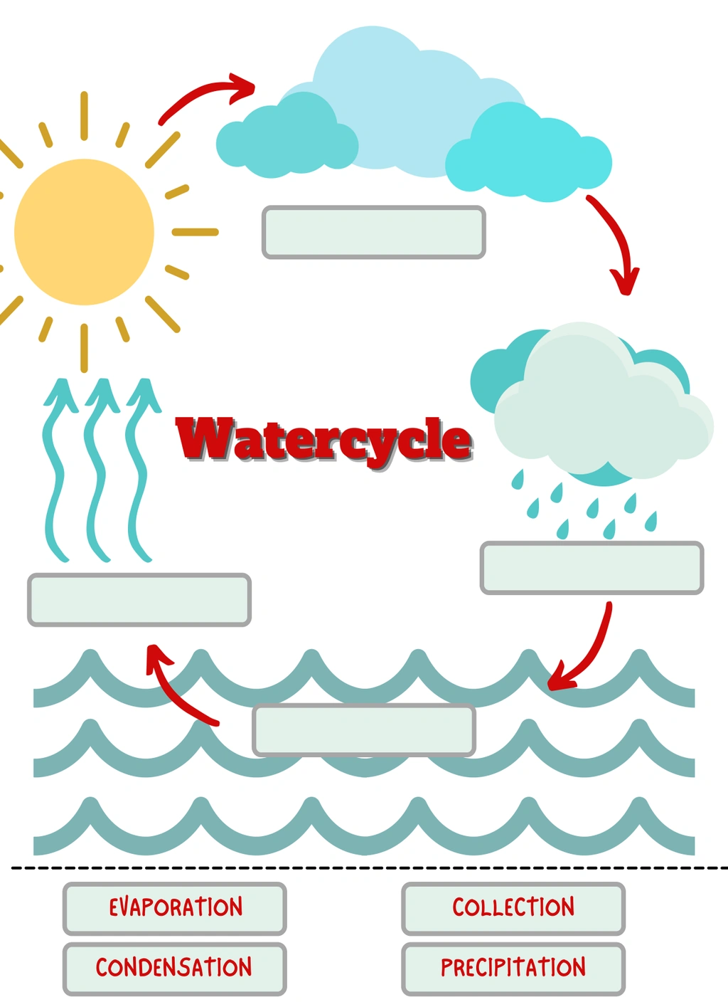 Water Cycle Activity and Flash Cards 2 Water Cycle Activity and Flash Cards - Image 2
