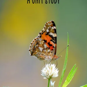 Wildlife in the Garden Unit Study