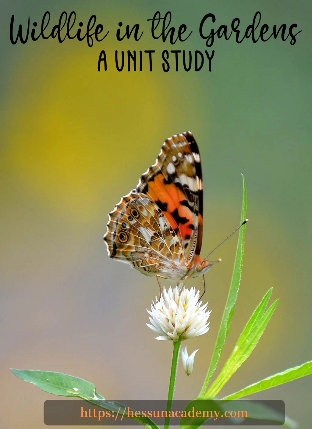 Wildlife in the Garden Unit Study
