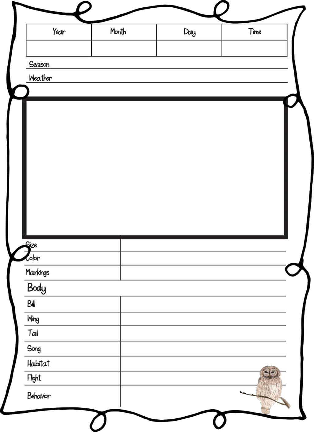 Birding Journal for Older Teens and Adults (Science) 3 Birding Journal for Older Teens and Adults (Science) - Image 3