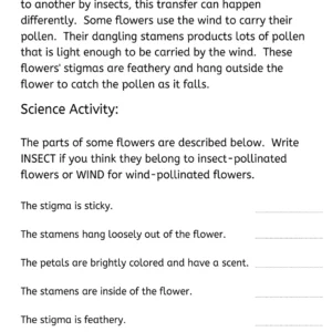 Pollinating Flowers Worksheet